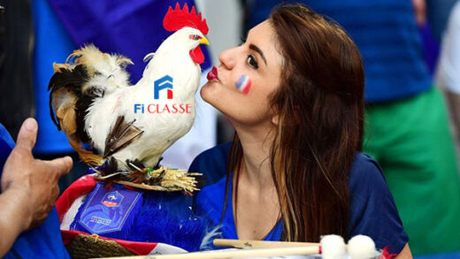 Tại sao gà trống Gô-loa được chọn là biểu tượng của nước Pháp? - Tiếng Pháp  Thú Vị