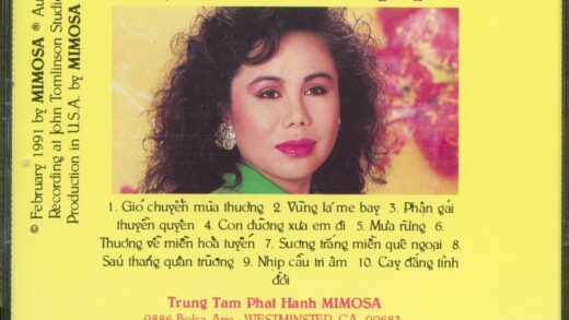 Vietnamese music CD: Phan gai thuyen quyen. Tieng hat Thanh Tuyen. 1991 |  eBay