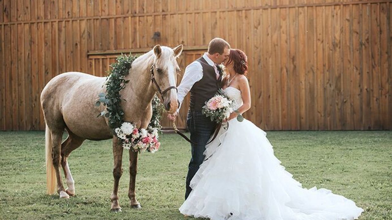 An Equestrian Wedding - The Plaid Horse Magazine
